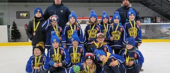 Vánoční turnaje 2. třídy HHK Velké Meziříčí: Úspěchy a napětí na ledě